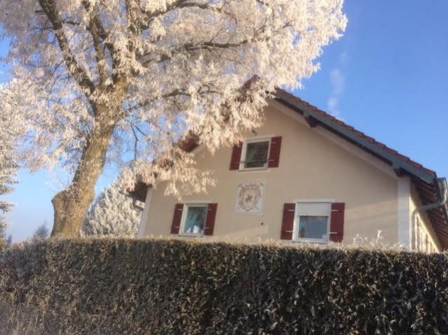 Airport Hostel Hallbergmoos Luaran gambar